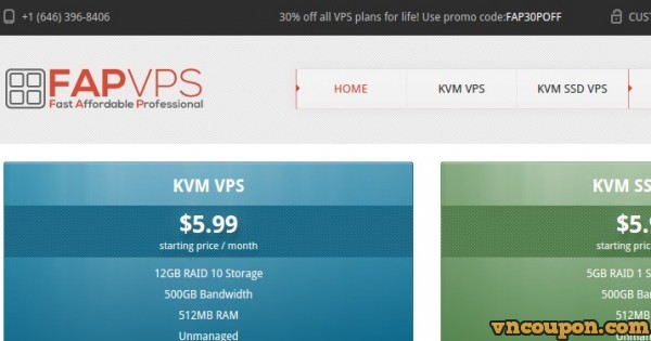FAPVPS - 特价机 KVM VPS Plan 256MB + 256MB of内存only $18