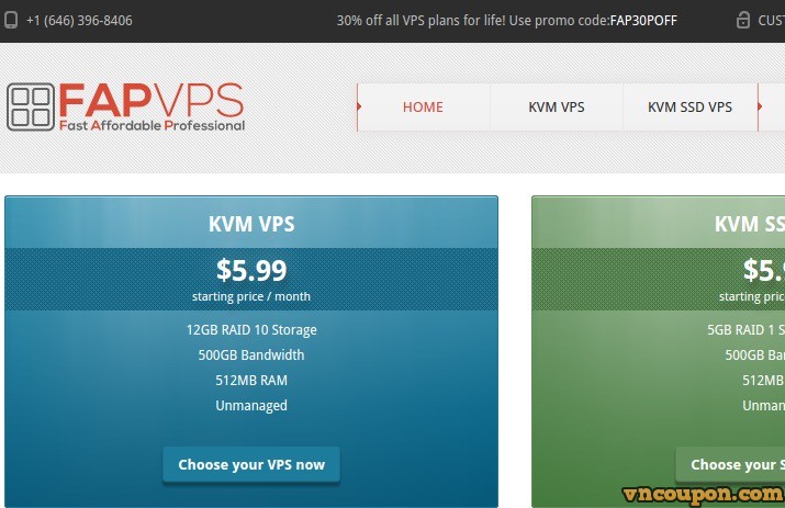 FAPVPS – 特价机 KVM VPS Plan 256MB + 256MB of内存only $18
