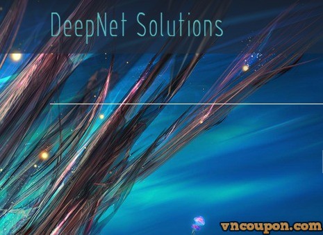 [售罄] DeepNet Solutions – OpenVZ VPS 特价机套餐 from $2 per month + 免费NAT VPS