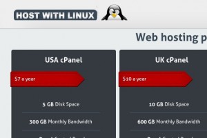 [售罄] HostWithLinux – 特价机 VPS套餐 – 最低 $15每年 for 1GB RAM