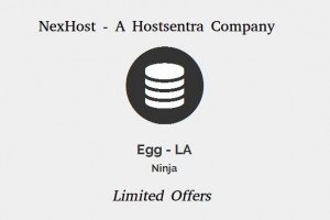 NexHost Egg – Cheapest KVM VPS 256MB内存最低 $3.5 USD 年付