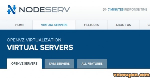 [Flash Sales] NodeServ - 特价机 OpenVZ VPS 512MB RAM/ 100GB HDD/ $13 USD 每年