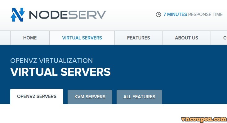 NodeServ DDoS-Protection VPS 夏季特价机