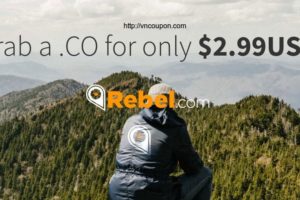 Rebel.com – Grab a .CO 域名 for 仅 $2.99USD
