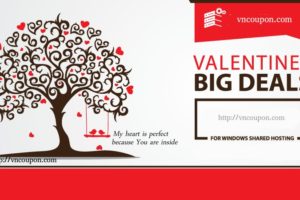 VPS 提供 – Valentine’s day 特价机 with huge折扣