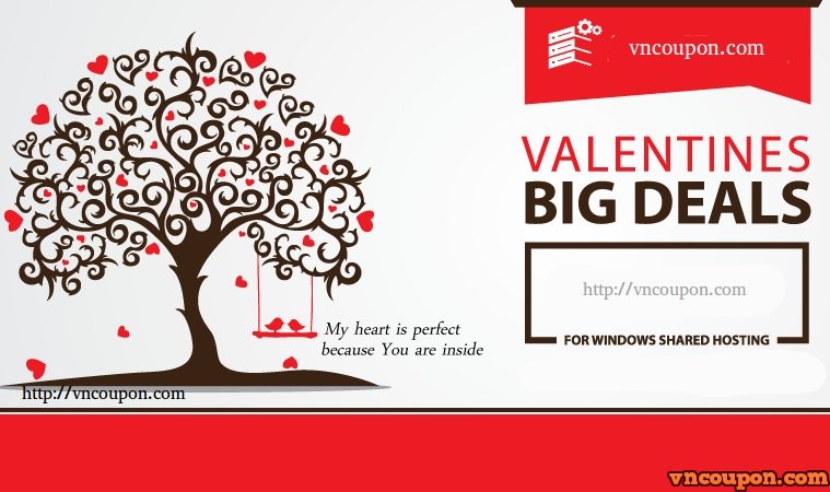 VPS 提供 – Valentine’s day 特价机 with huge折扣