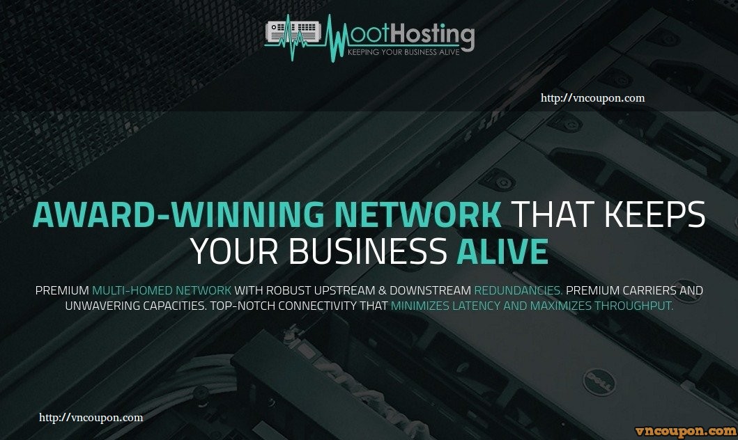 WootHosting – DDoS防护 OpenVZ & KVM VPS 最低 $10每年