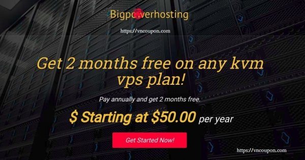 BigPowerHosting - 优惠55% 永久 KVM VPS - DDOS防护