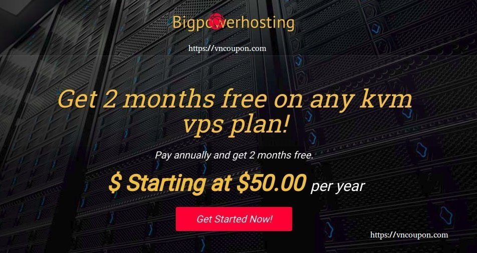 BigPowerHosting – 优惠55% 永久 KVM VPS – DDOS防护