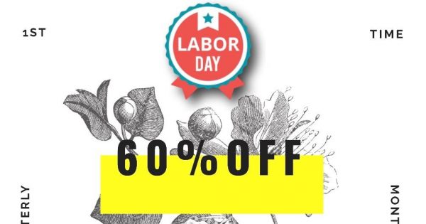 HostSailor Crazy Deals – 优惠券 & 优惠码 2019年 – MayDay offer, 优惠60% on all servers, SSD hosting, VPS