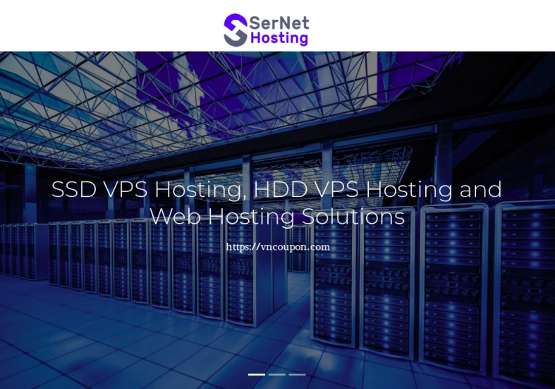 SerNet Hosting – 特价机 KVM VPS 最低 $4每月 – 2GB内存/ 100GB HDD / 无限 流量