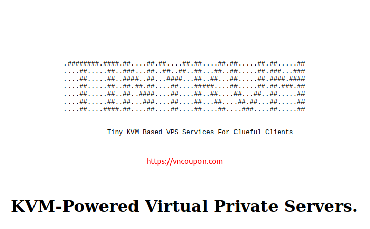 TinyKVM – 特价机 KVM VPS 仅 $15每年 in 达拉斯 & 洛杉矶