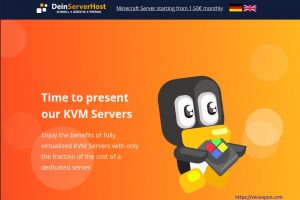 DeinServerHost – Budget IPv6 KVM NVMe VPS 仅 1€每月 & 32GB内存独服 Deal 仅 40€每月