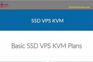 Webhosting1st – 优惠50% SSD KVM VPS 最低 $3每月 in Poland – DDos防护