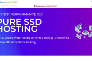 BanaHosting – 90% 一次性折扣 虚拟主机套餐 for 仅 $0.99 the first month