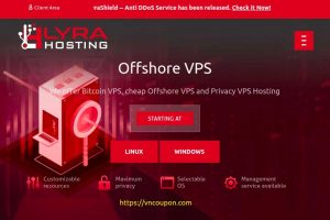 LyraHosting Offshore VPS 优惠券 – 35% 一次性折扣