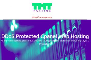 TMT Hosting –  优惠15% DDOS防护 Cpanel 虚拟主机