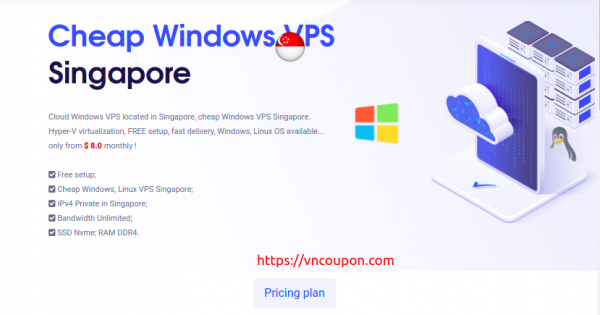 VPSServerUSA - Cheap Singapore Windows VPS 提供 最低 $8每月 - 流量 无限 | SSD Storage