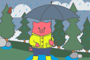 Porkbun Rainy Day Savings – 域名折扣 最低 $0.98