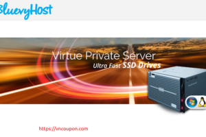 BluevyHost – Managed SSD VPS Malaysia 最低 $16每月