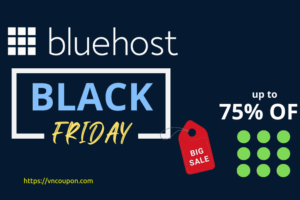 [黑色星期五 2022] Bluehost India – 优惠70% 虚拟主机
