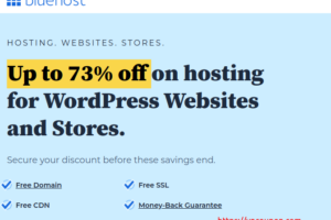 BlueHost – 最高优惠73% WordPress Hosting + 优惠50% VPS