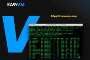EasyVM arrives in Singapore – 最高优惠60% Ryzen VPS in Singapore / 美国