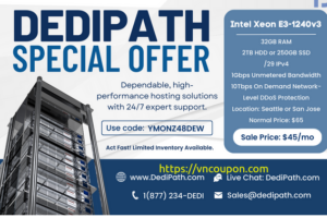 DediPath Speical Offer – Exclusive 独服 仅 $45每月