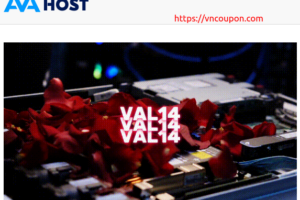 [Valentine’s Day 2025] AVAHost – 优惠14% on all services