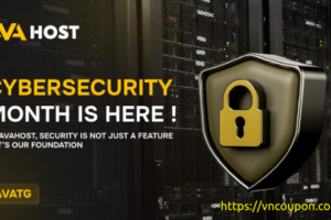 AVAHost Cybersecurity Month 特价机 – 10% 一次性折扣
