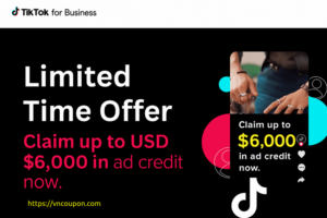 [Christmas 2025 Sale] Get 最高$6000 in 免费TikTok Ads Credits